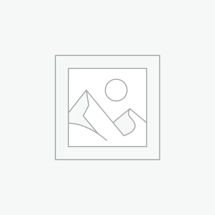 Digital Cinema Cameras